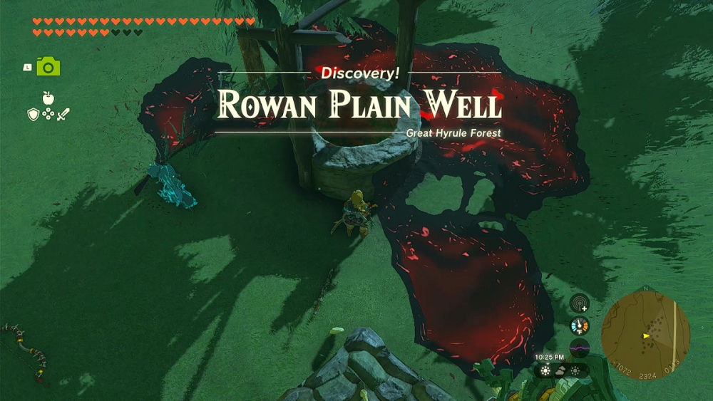 Rowan Plain Well en Zelda TOTK.