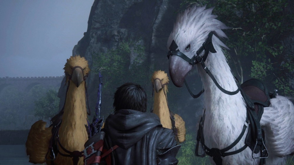 Final Fantasy 16 todas las ubicaciones de curiosidades