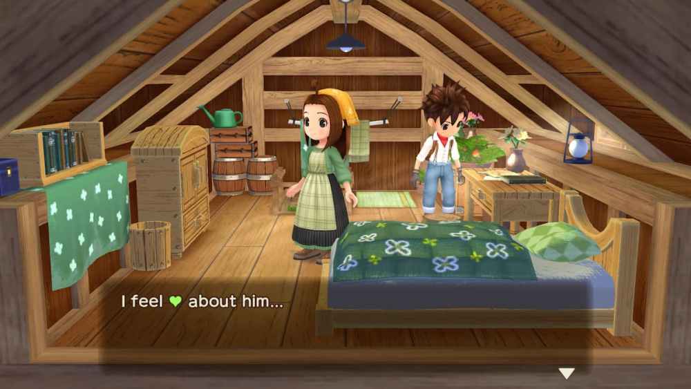 Story of Seasons: A Wonderful Life, ubicación del diario de Cecilia