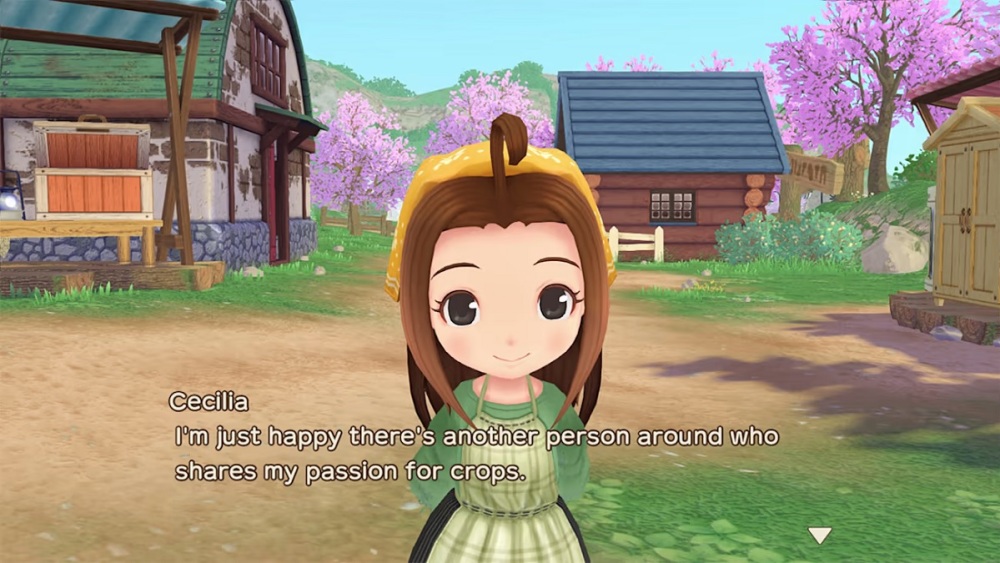 lo que le gusta a cada personaje en story of seasons una vida maravillosa