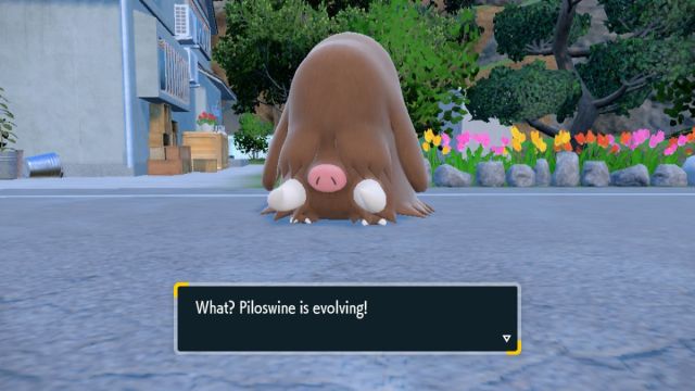 Evoluciona Piloswine a Mamoswine