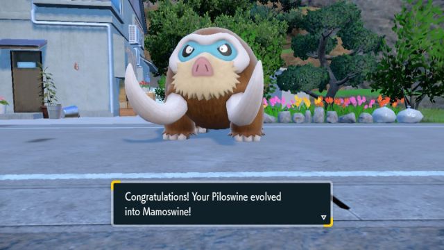 Evoluciona Piloswine a Mamoswine