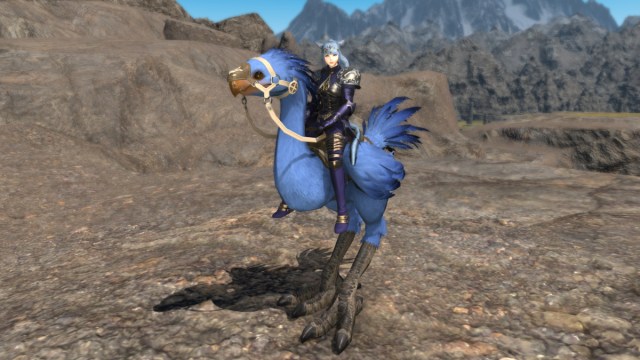 Final Fantasy 14 quelle est la monture chocobo de l'entreprise