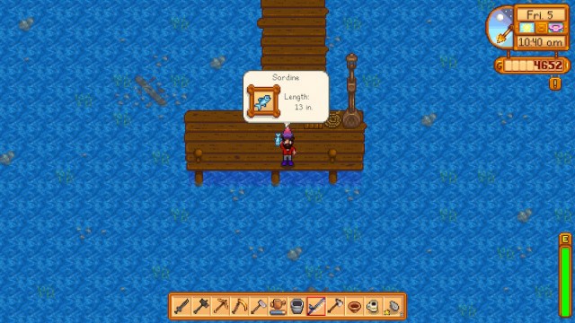 Muelle del océano de sardinas de Stardew Valley