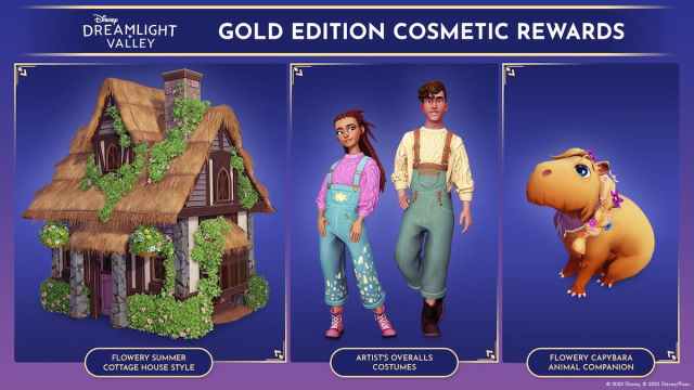 Cosméticos Gold Edition en DDV