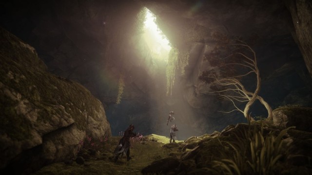 Actividad de la temporada de deseos de Destiny 2