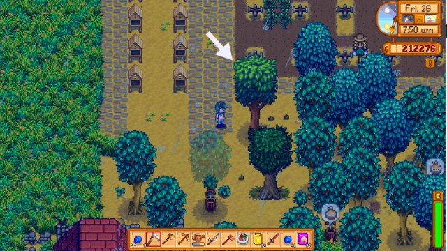 Stardew Valley donde encontrar árboles de caoba