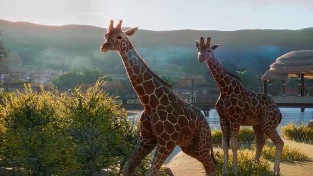 Jirafas en Planet Zoo.