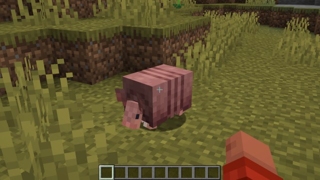 armadillo minecraft