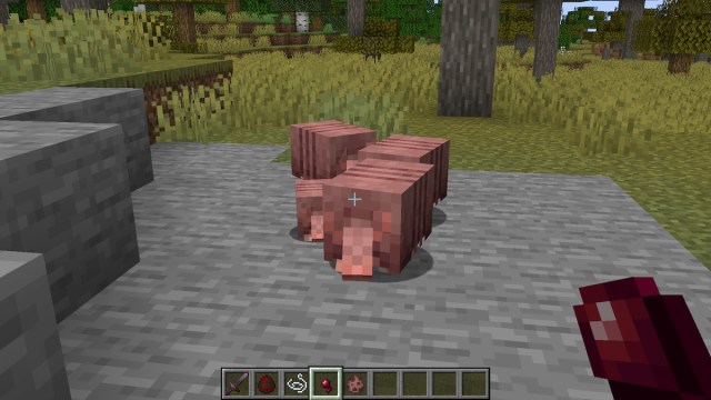 Cría de armadillos en Minecraft