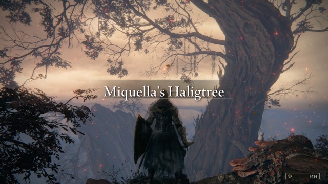 llegar al haligtree de Micella