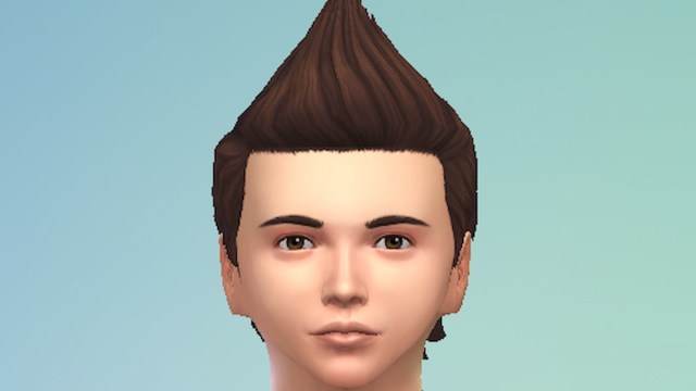 Sims 4 Mod de pelo de halcón falso