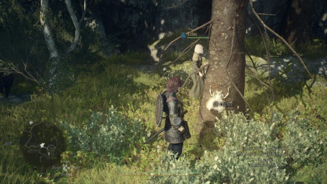 Ocurrió junto al Escarabajo Dorado en un árbol en Dragon's Dogma 2.