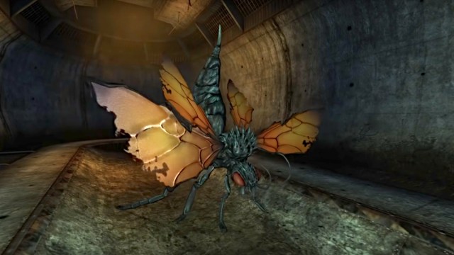 Fallout, qu'est-ce qu'un Cazador