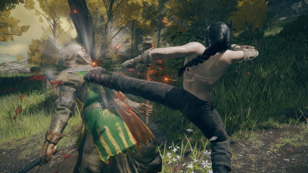 Los 10 mejores jugadores de artes marciales de Elden Ring Shadow of the Erdtree Mods pateando al enemigo